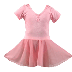Product only pink skirted ballet leotard with a soft chiffon skirt, perfect for ballet practice and performances.